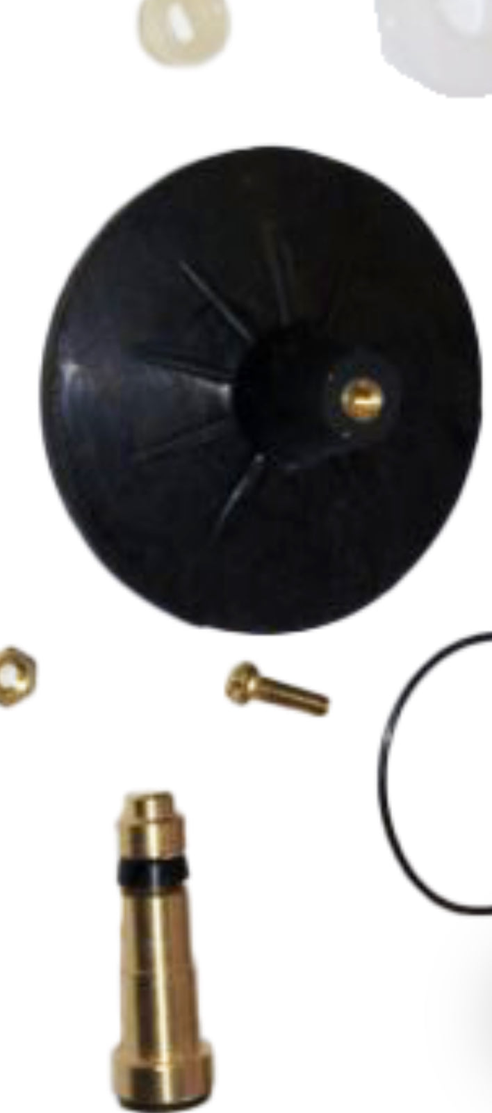 BRIGGS/CASE 62-8 PLUNGER KIT WITH TANK BALL 5119